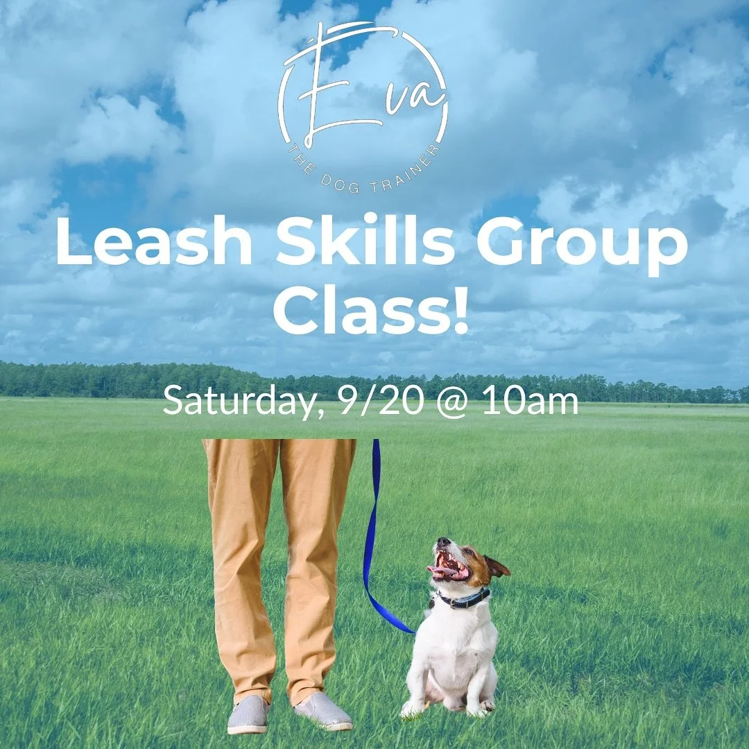 Better walks start here!
Our Leash Skills Class helps you and your dog master calm, focused walking, so every outing is more enjoyable for both of you.

👉 We&rsquo;ll cover:
✔️ Loose leash walking
✔️ Focus around distractions
✔️ Real-life practice f