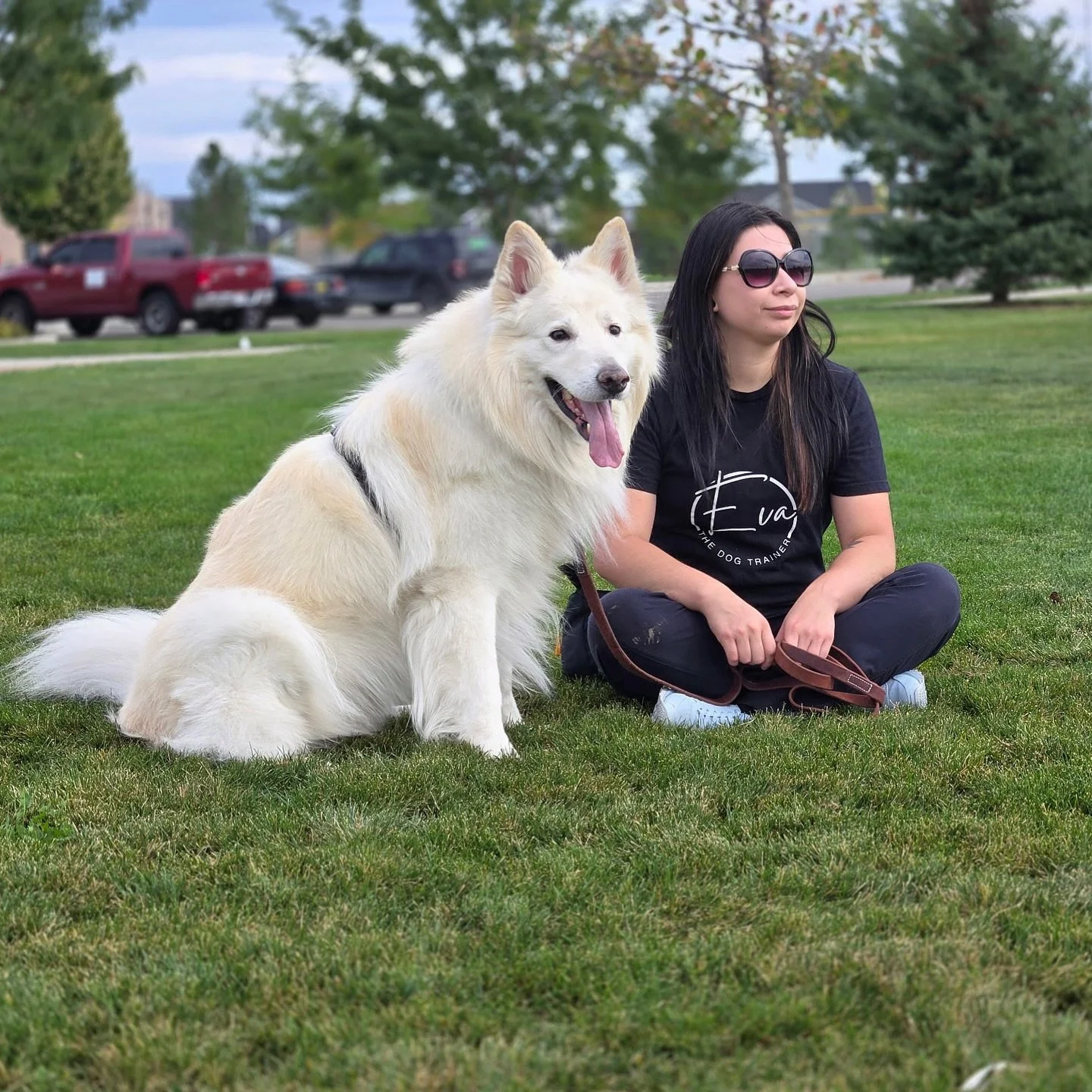 I can&rsquo;t believe how much we&rsquo;ve been through together buddy 💙
Every year we learn something new and we get better together. I love you 💕 
#dogmom