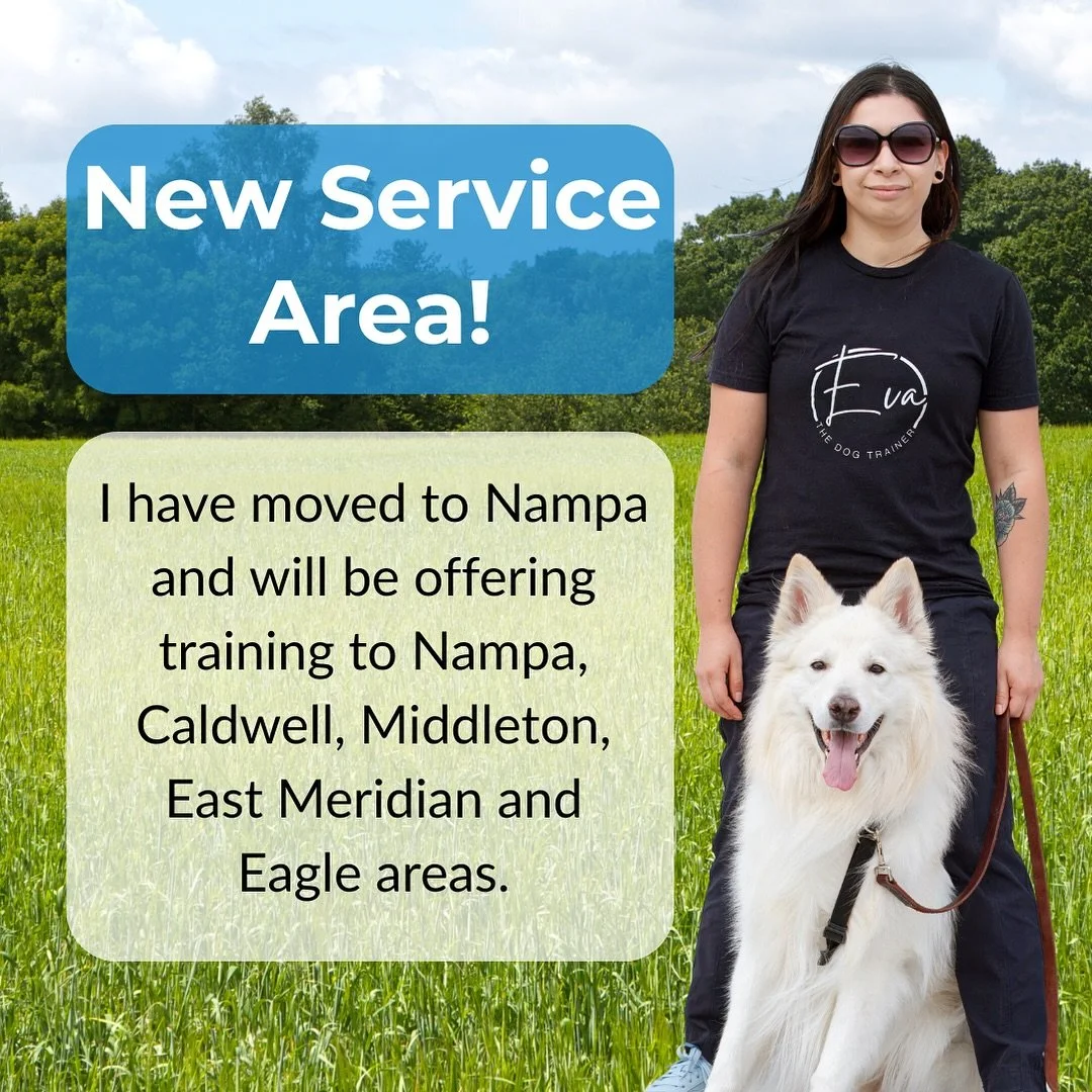 Exciting News! 🎉
I&rsquo;ve officially moved to Nampa and will now be offering training services in Nampa, Caldwell, Middleton, East Meridian, and Eagle.

I&rsquo;ll be limiting my client load from Boise and Kuna moving forward. If you&rsquo;re outs