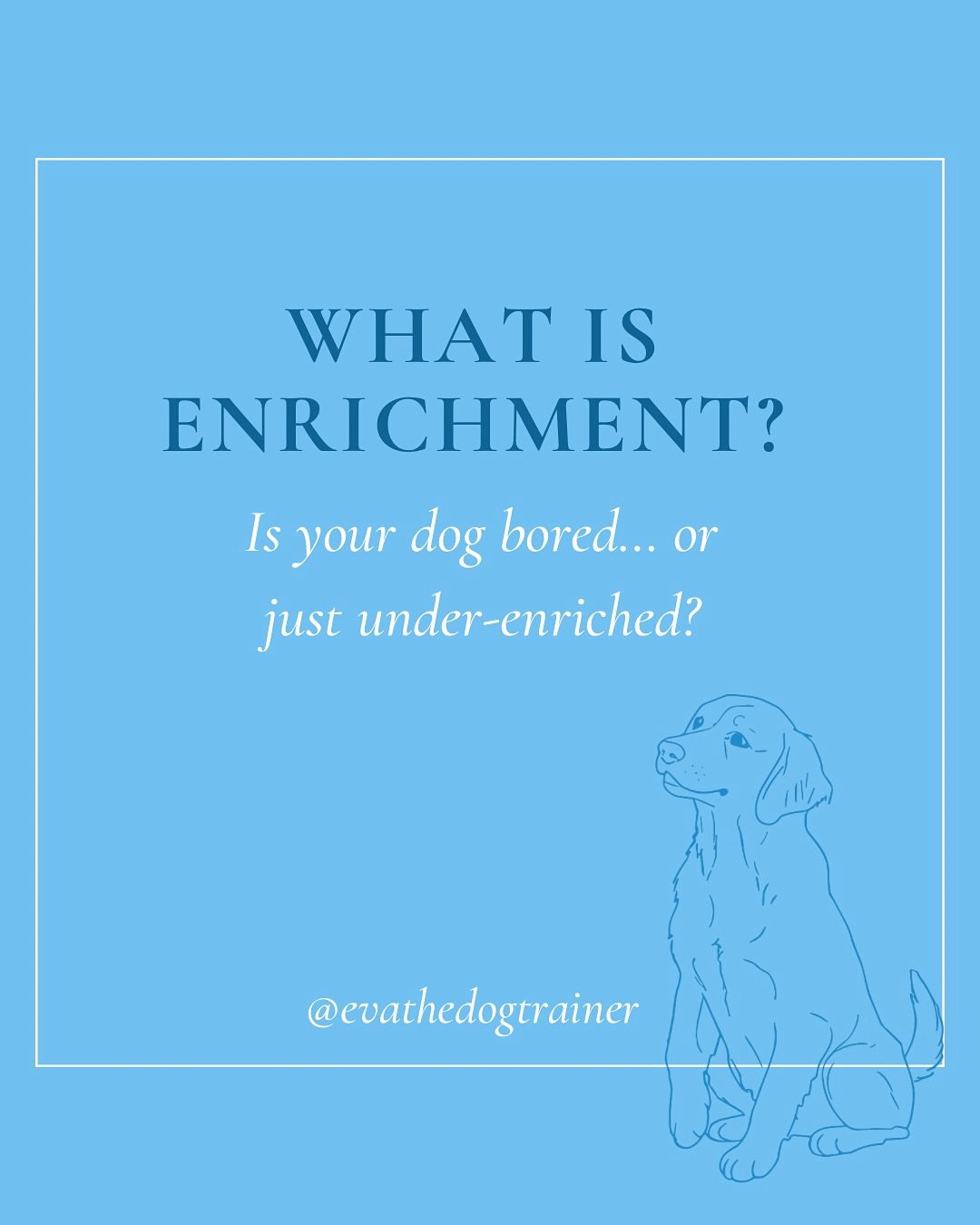 Most behavior problems aren&rsquo;t about &ldquo;bad dogs&rdquo; &mdash; they&rsquo;re about unmet needs.
Enrichment is how we help dogs feel fulfilled, not just obedient.

💡 Try this: Replace one traditional walk this week with a sniff-walk or puzz