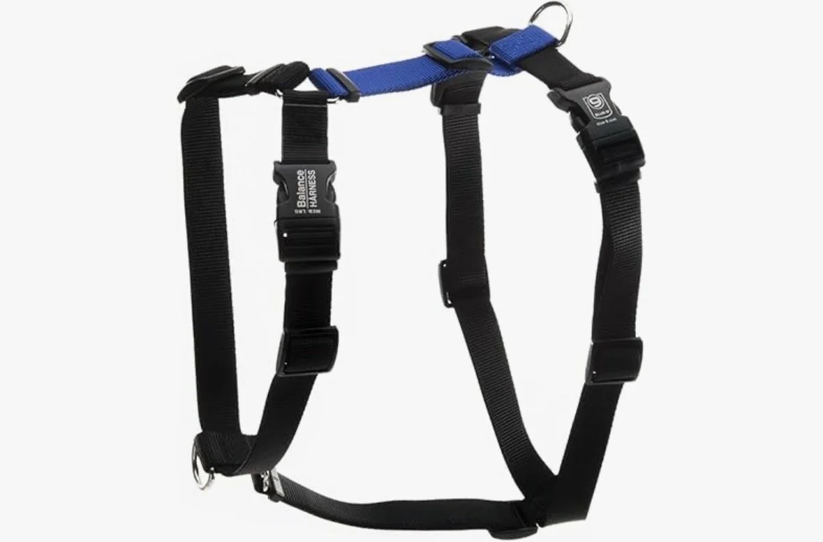 Blue 9 Balance Harness