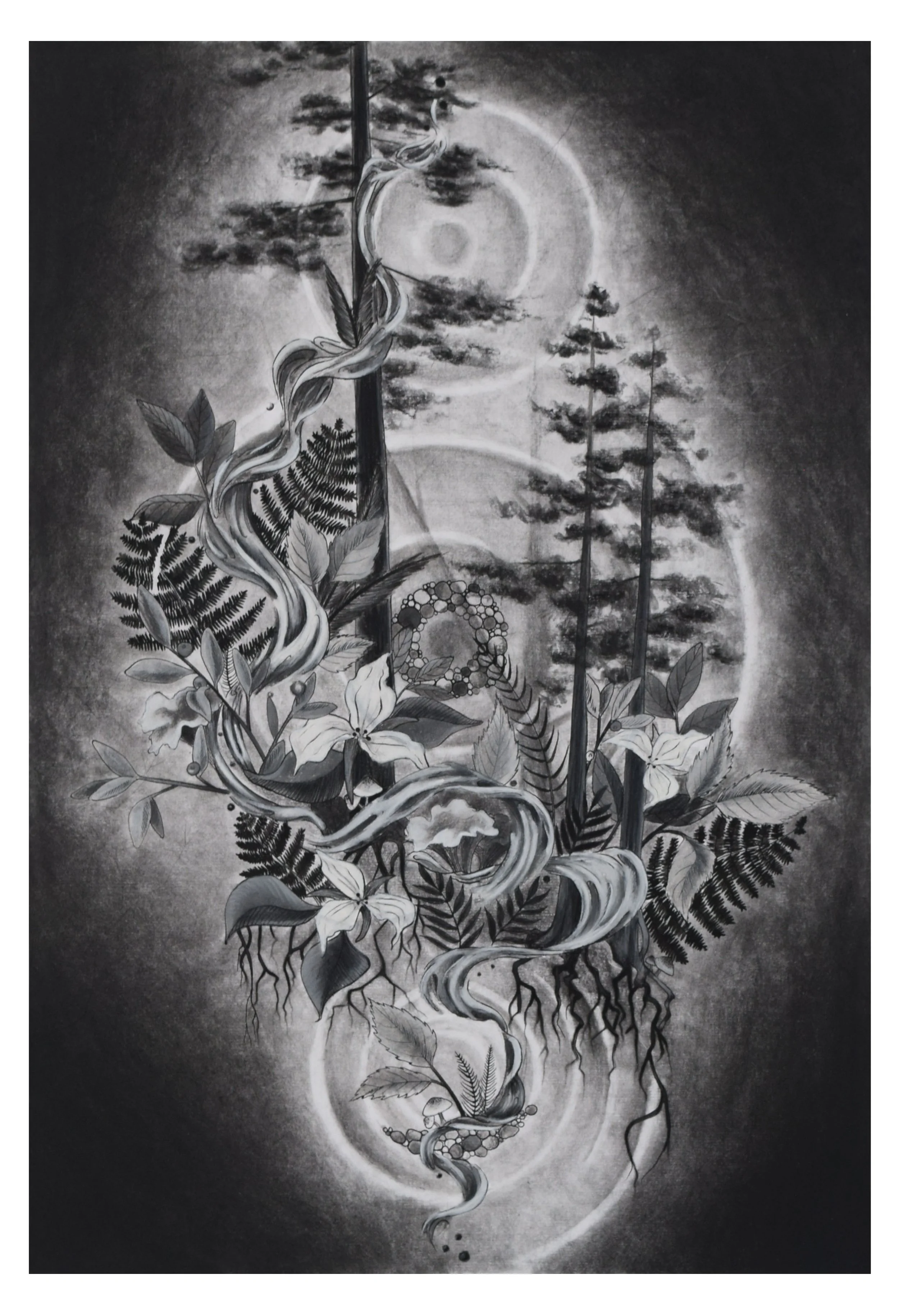 Within the Understory.jpg