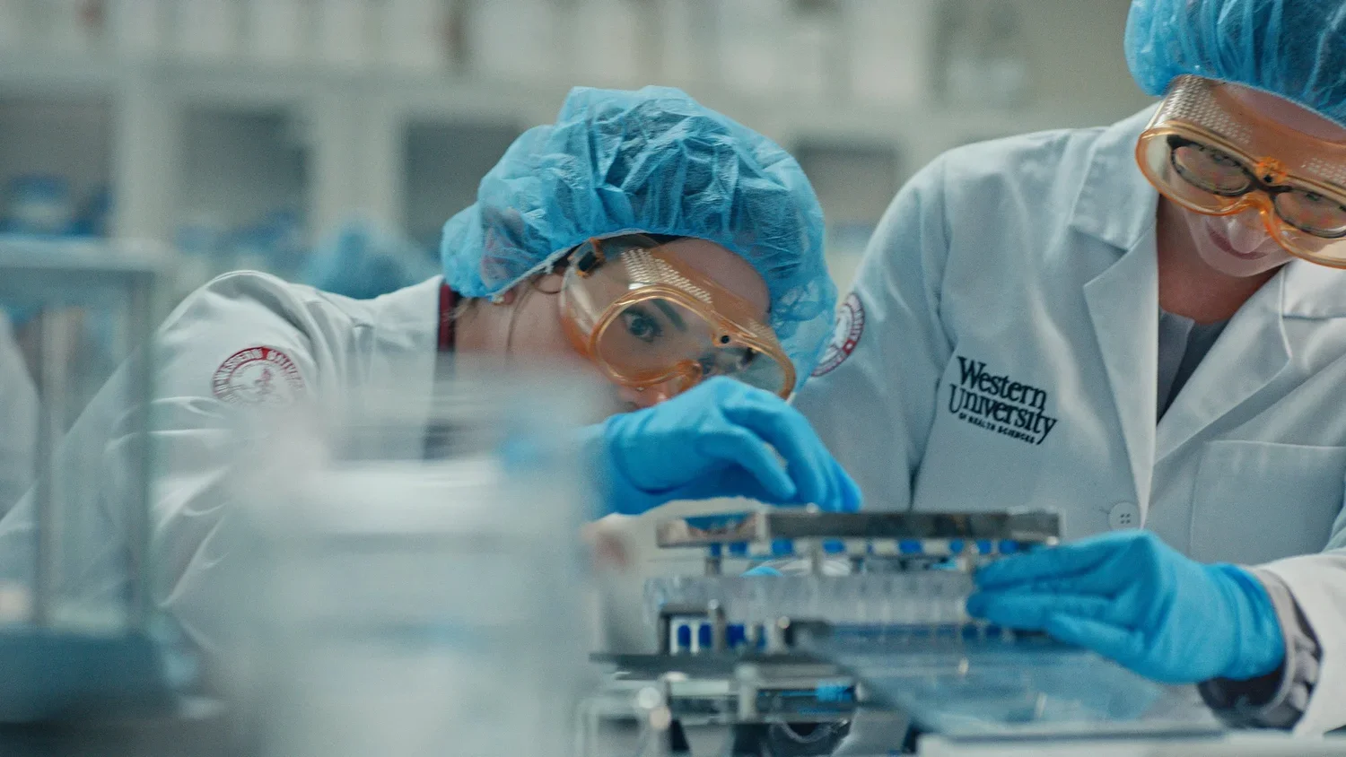 WU+Pharmacy+Frame-24.webp