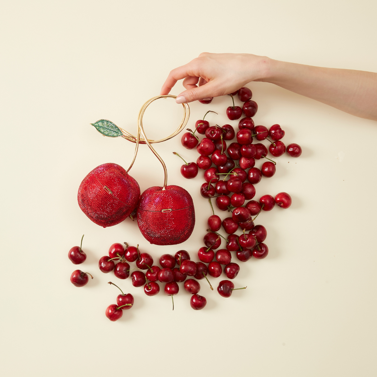 Rebecca Rose_Cherry Bags 2.png