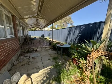 Backyard - Before