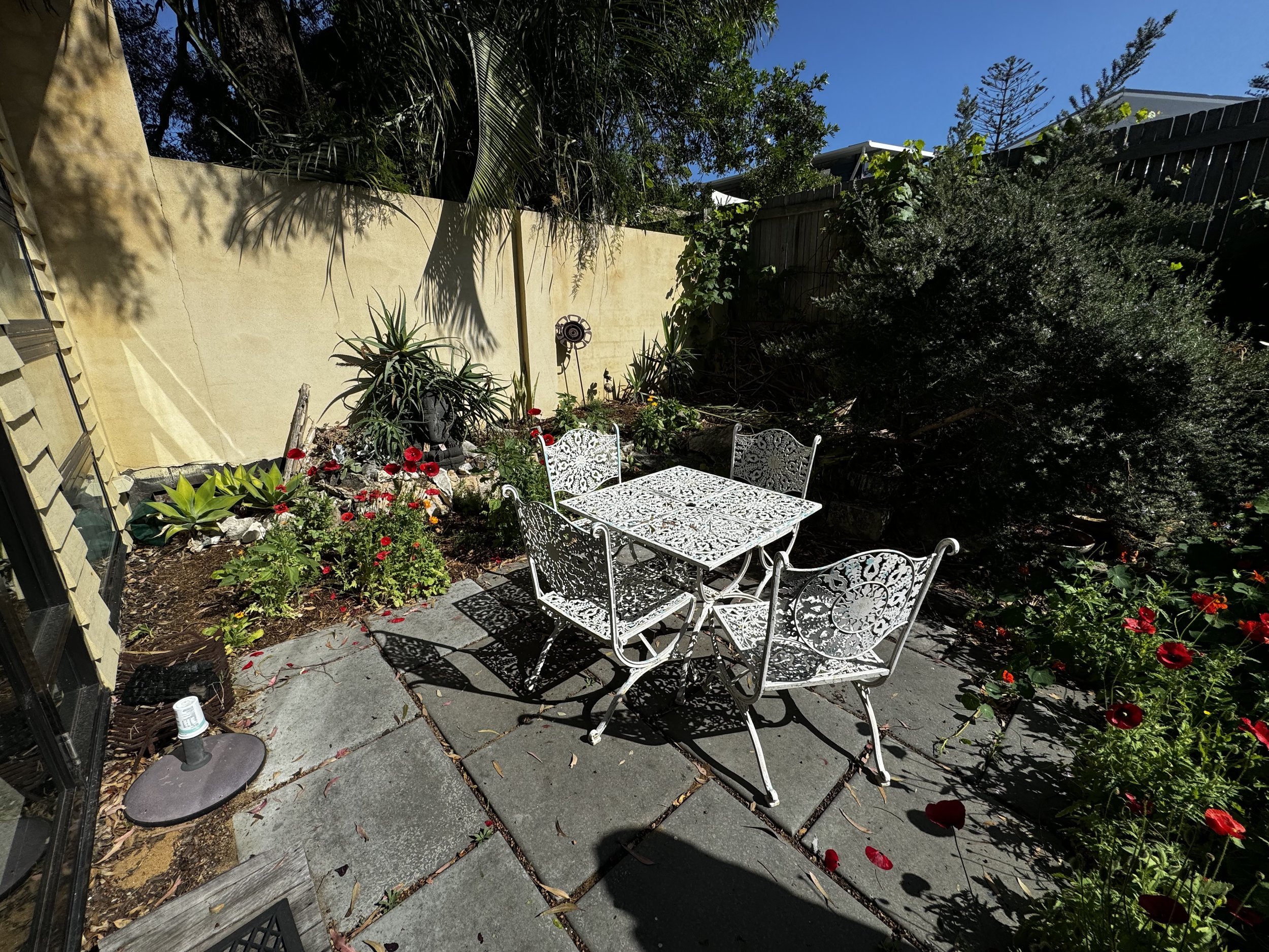 Garden - Before