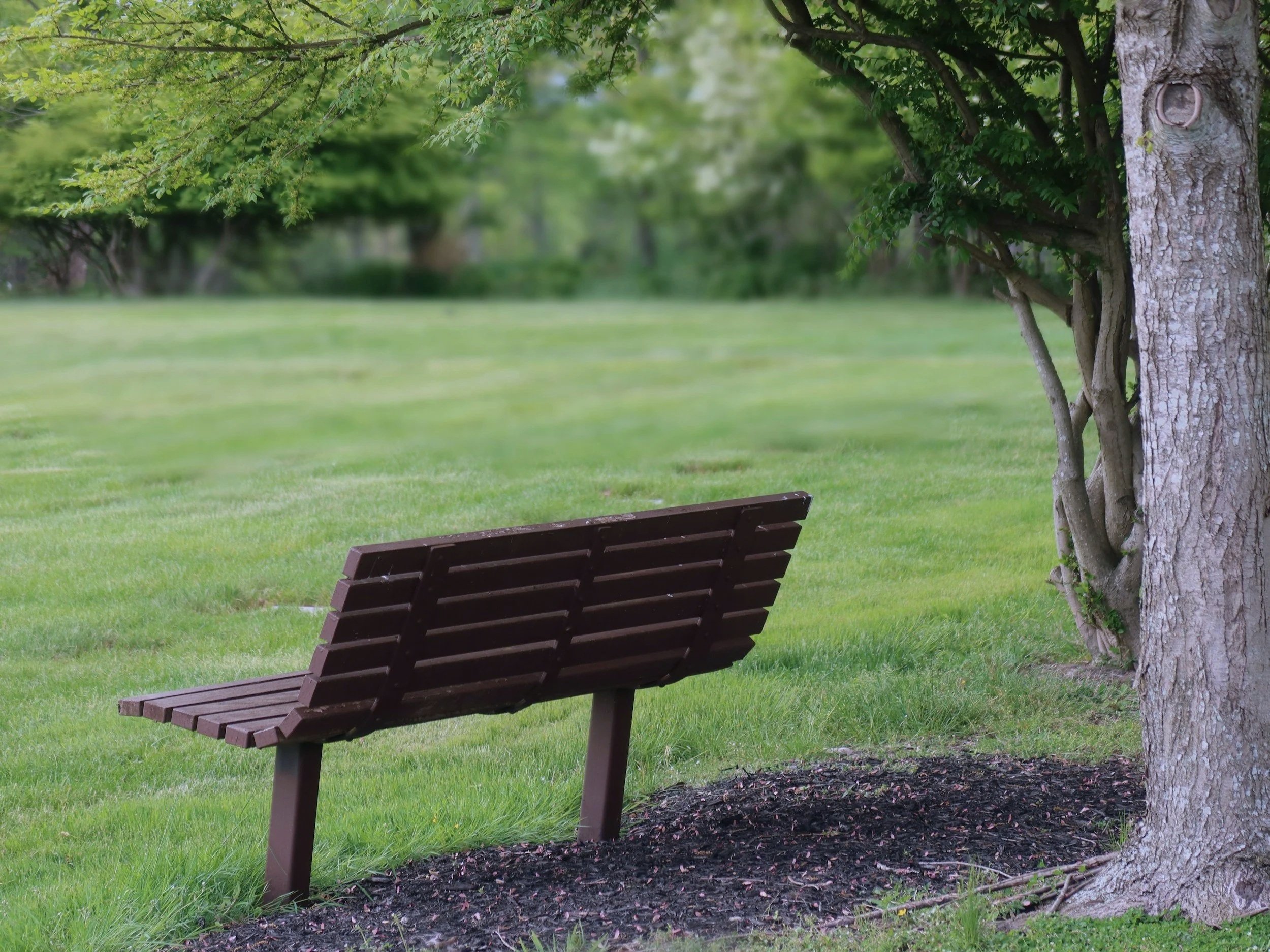 Estrangement Grief: Why It’s So Hard to Grieve Someone Who Is Still Alive