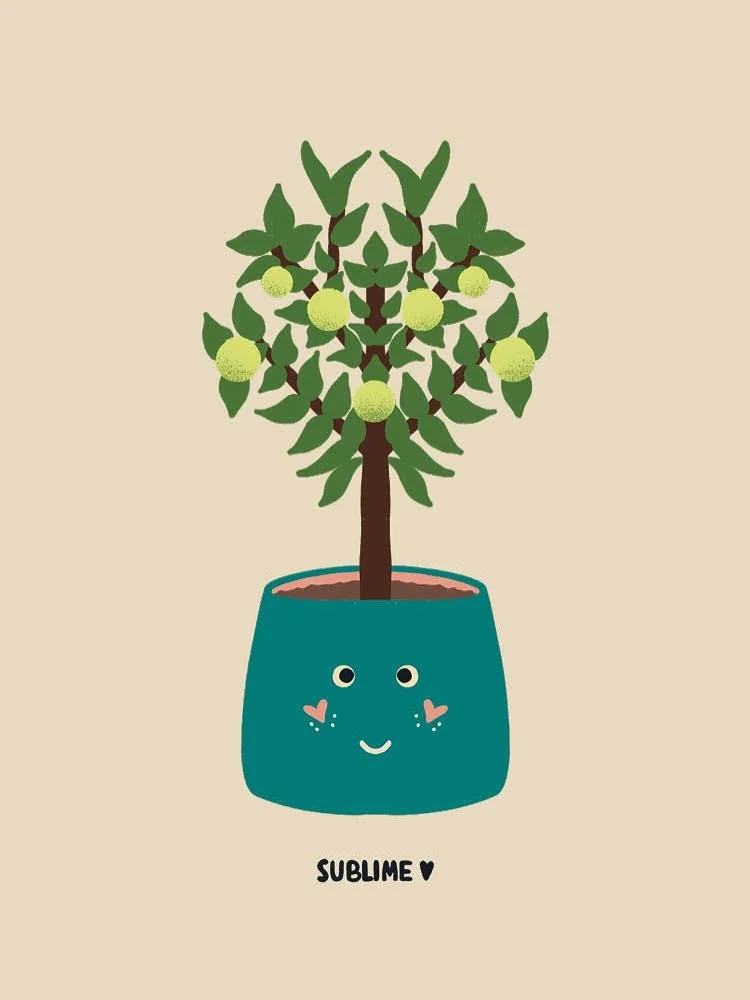 Imposter plants! Are they happy? No. But they look happy.

Meet Clementine. Is her name confusing? Yes, but that&rsquo;s besides the point. She enjoys sunny days and long walks on the beach. Don&rsquo;t ask her how that works as a potted tree, she&rs