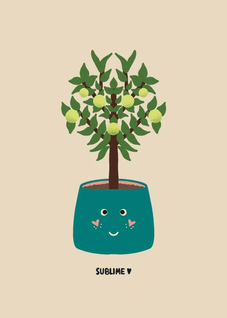 Potted lime tree with the word Sublime illustrated