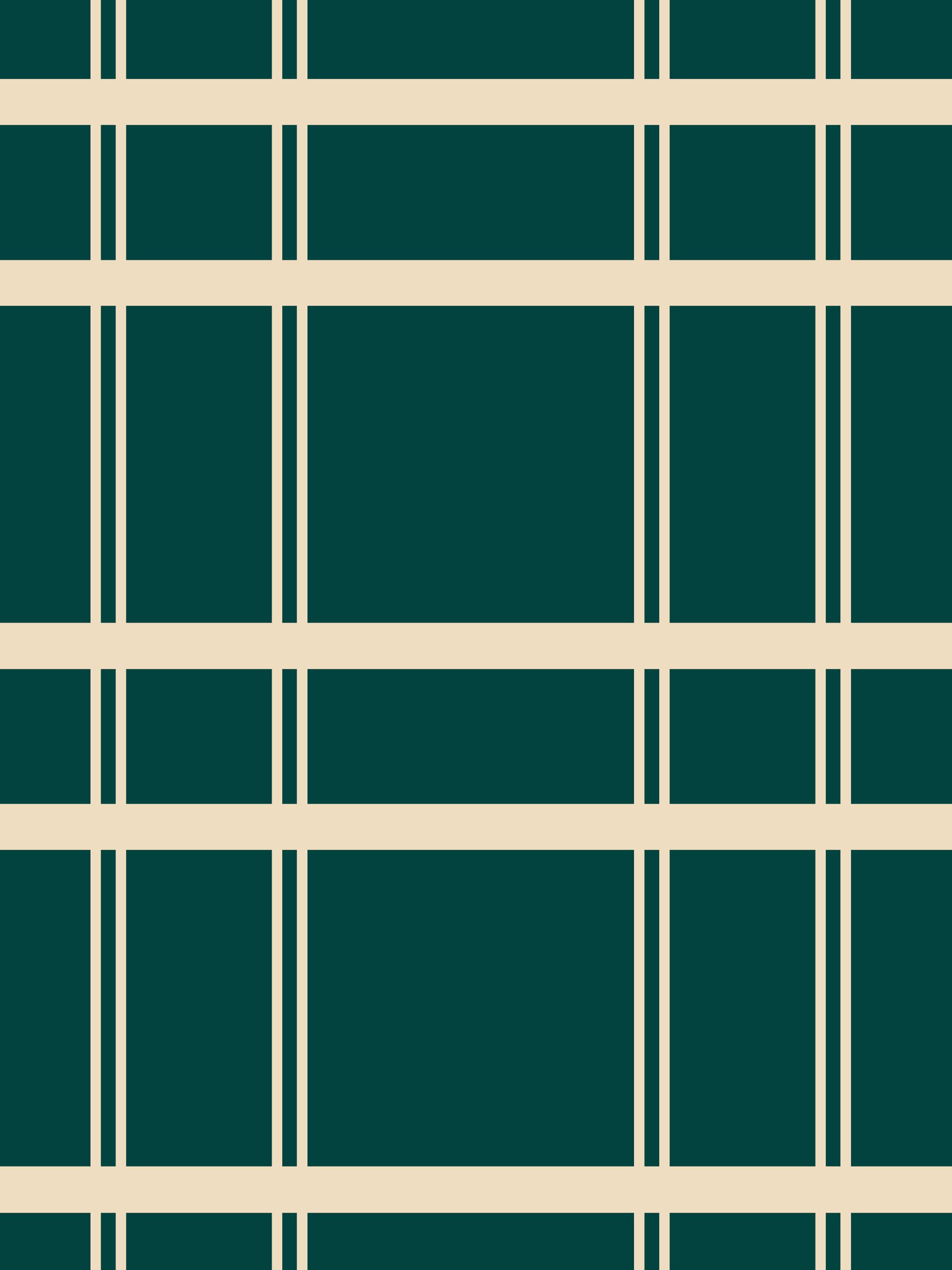 Plaid-by-Alexis-Morin.jpg