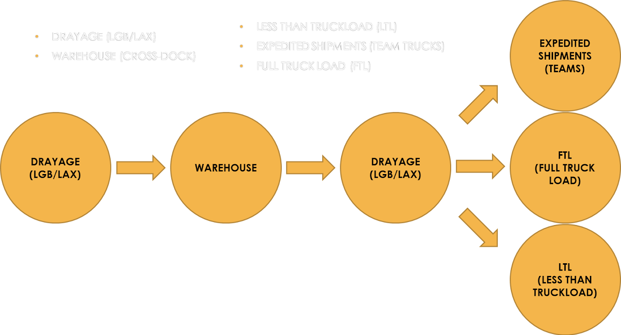 Our Services