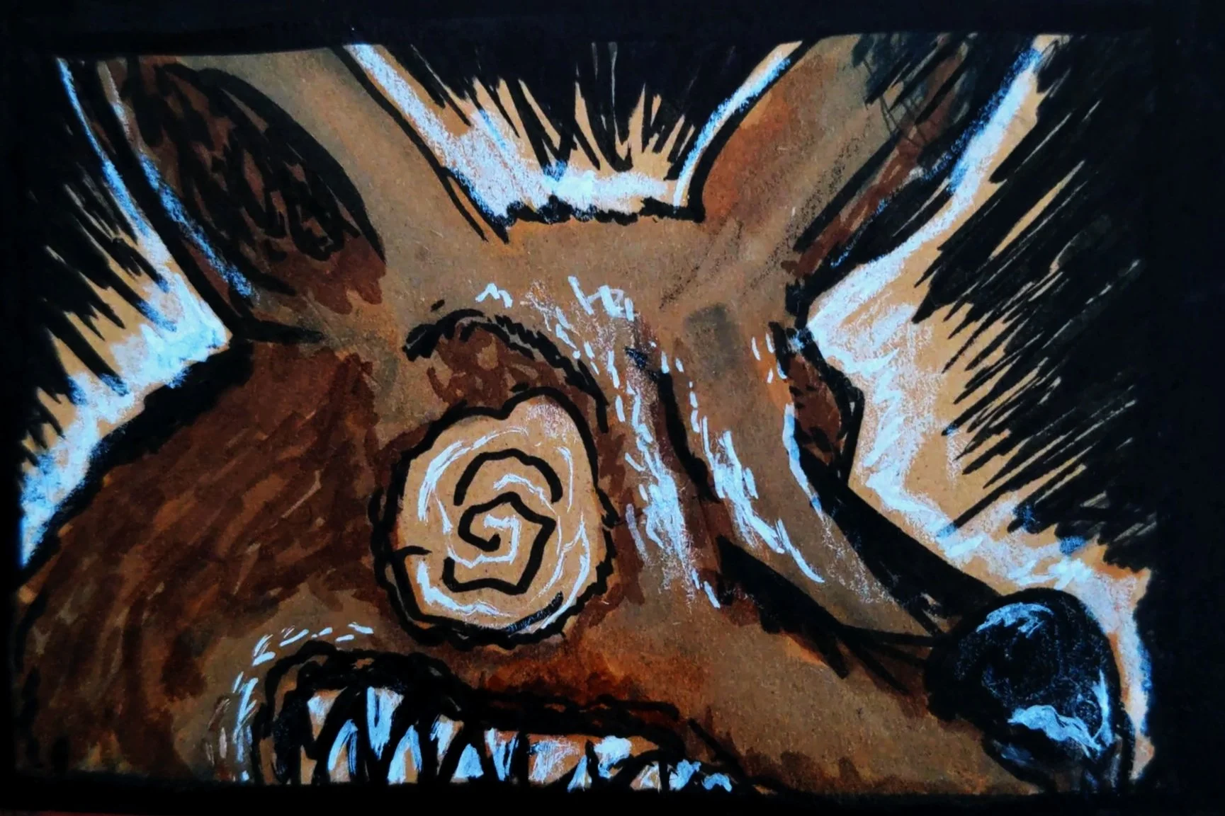 Attack Of The Killer Kangaroo