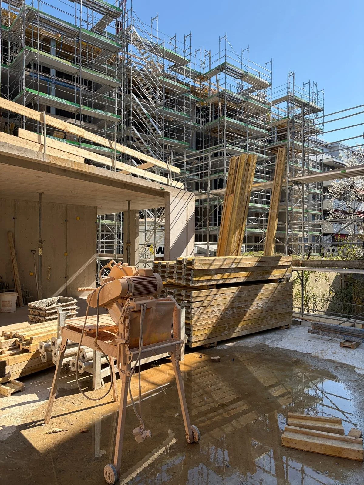 WhatsApp Image 2026-03-18 at 16.48.36.jpeg