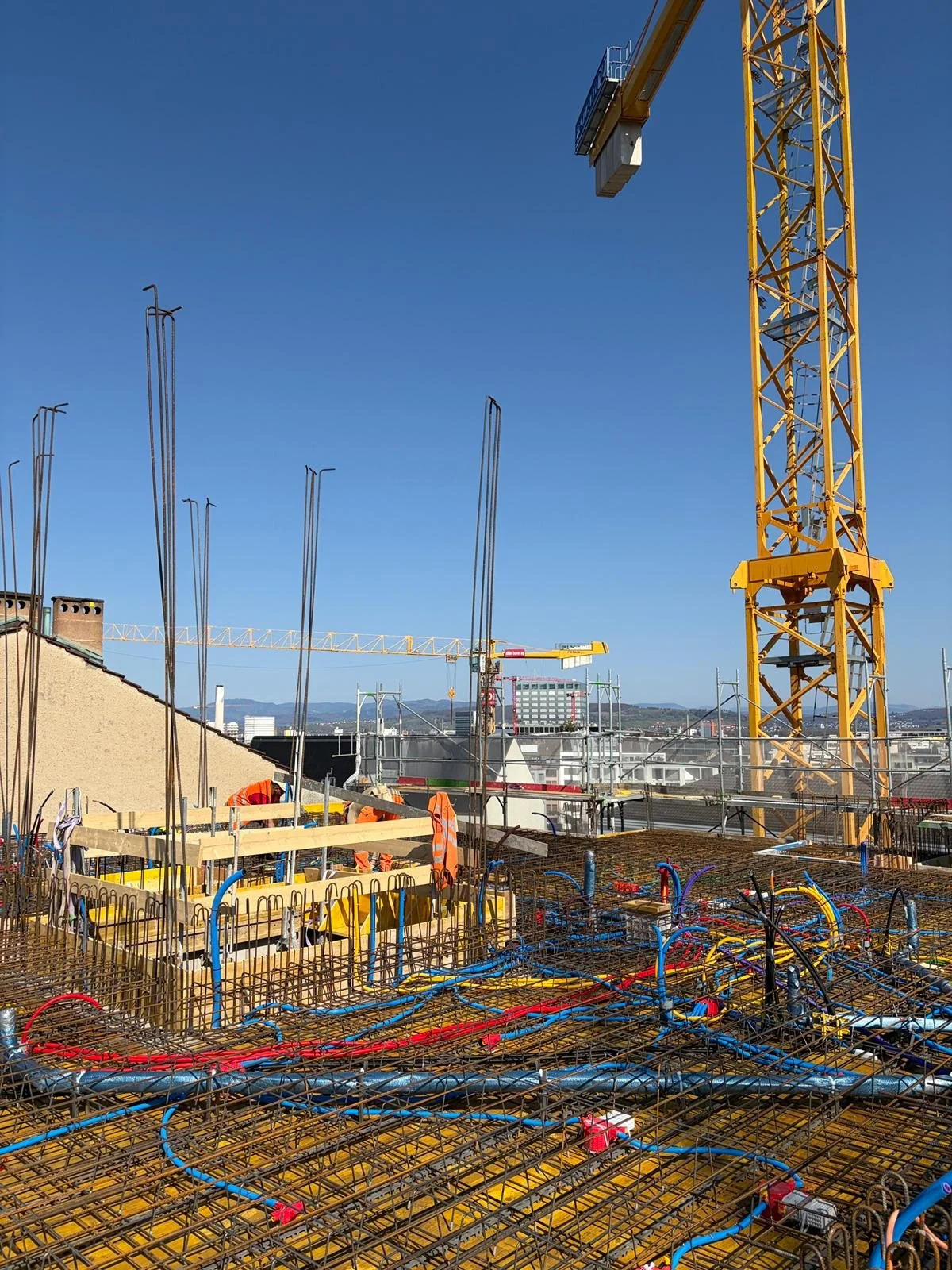 WhatsApp Image 2026-03-18 at 16.48.06.jpeg