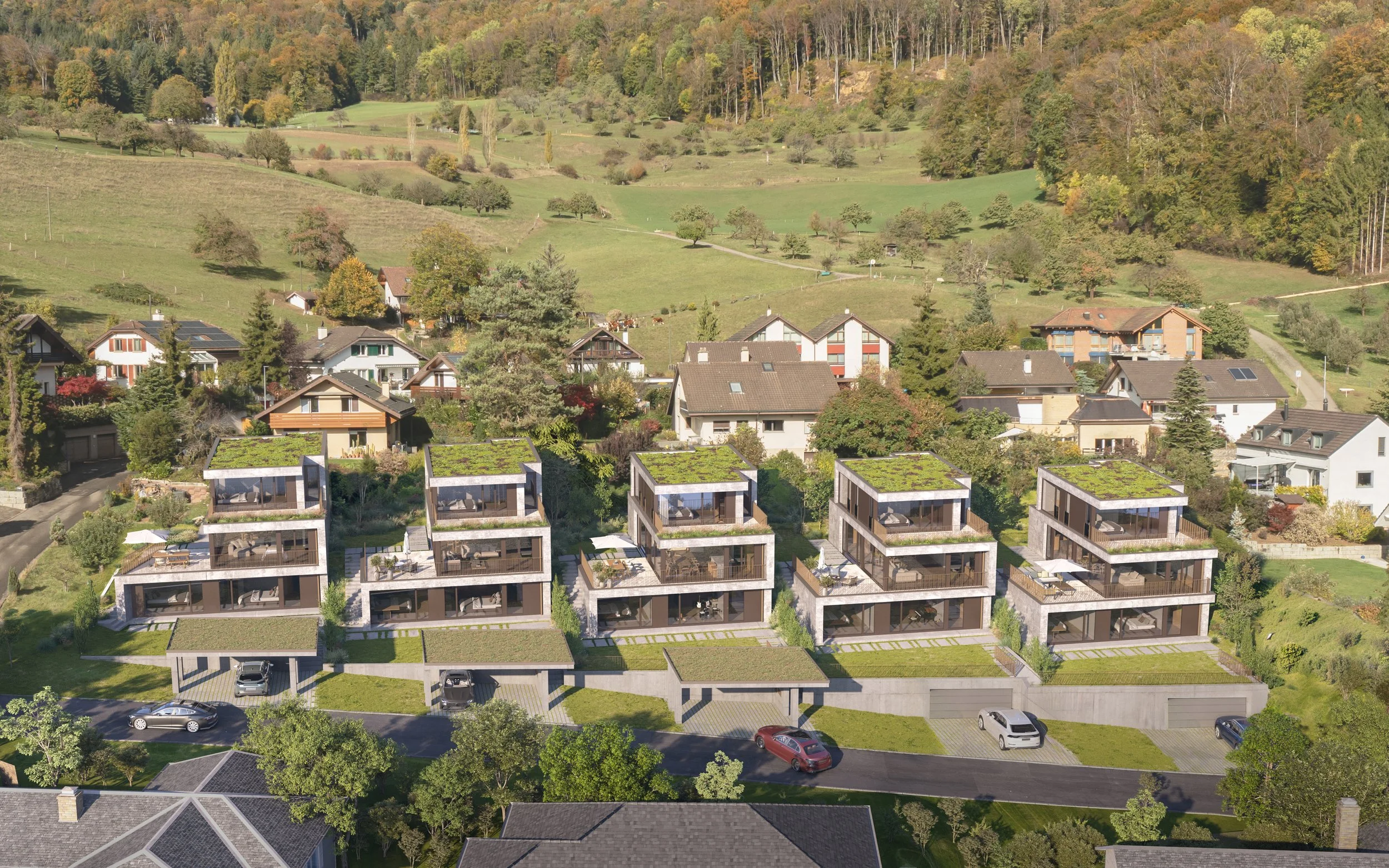 VIEW 01 - AERIAL_editGArage.jpg