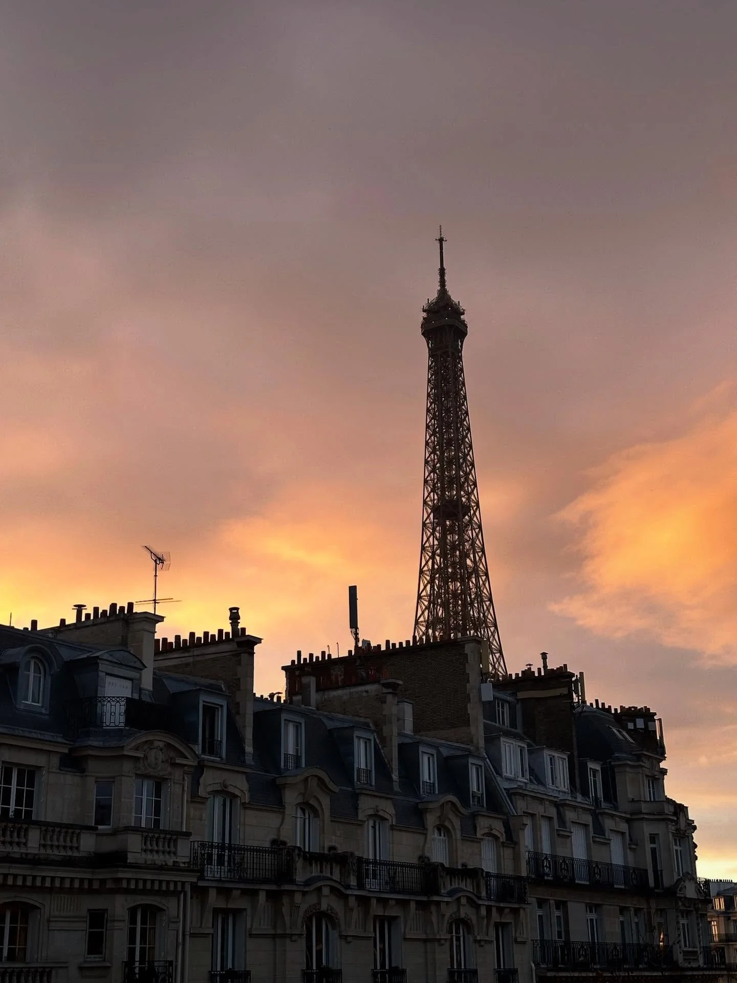 Some favorites from my time in Paris 🥐
I got to call this city home in 2023, and looking back makes my heart so happy. 
Here are some of my favorite spots, but check out the link in bio for the full list 🗺️ 

🧋 Buddy Buddy 
🥖 Mamiche
🍳 Caf&eacut