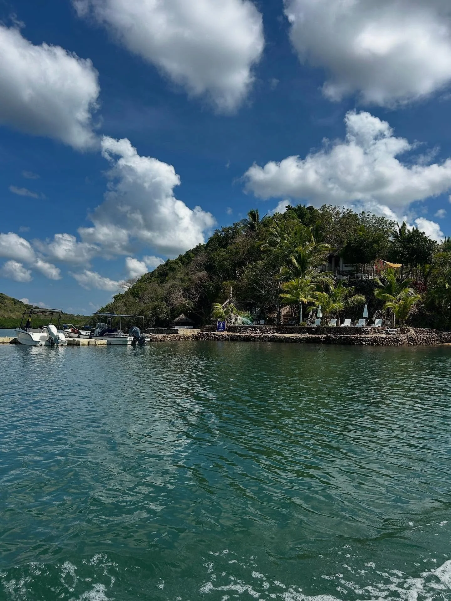 The Philippines, a trip of a lifetime 🌴
Island hopping, snorkeling, fresh coffee, and beachside huts &mdash; paradise awaits. Here are some of my favorite spots, but check the link in bio for the full adventure 🗺️ ✨ 

🐚 Al Faro Hotel - Coron
🚤 Bi