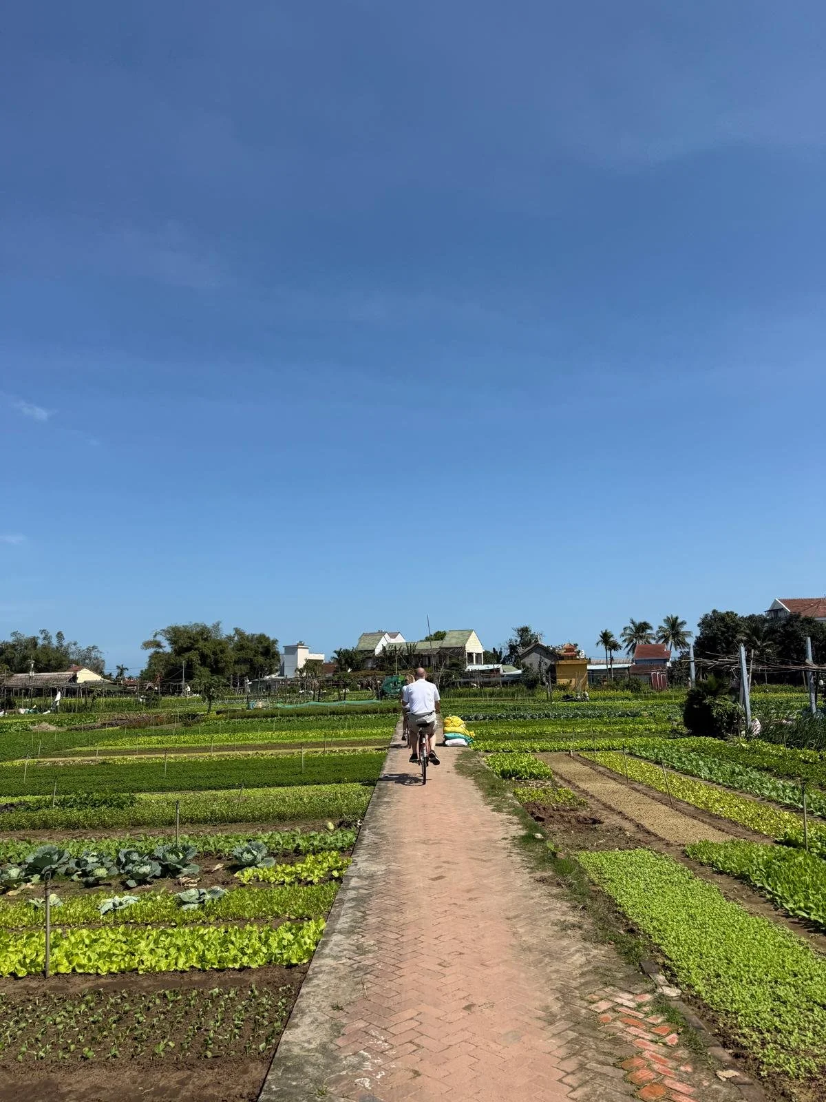 WhatsApp Image 2025-06-02 at 11.04.10_e4ce5ed9.jpg