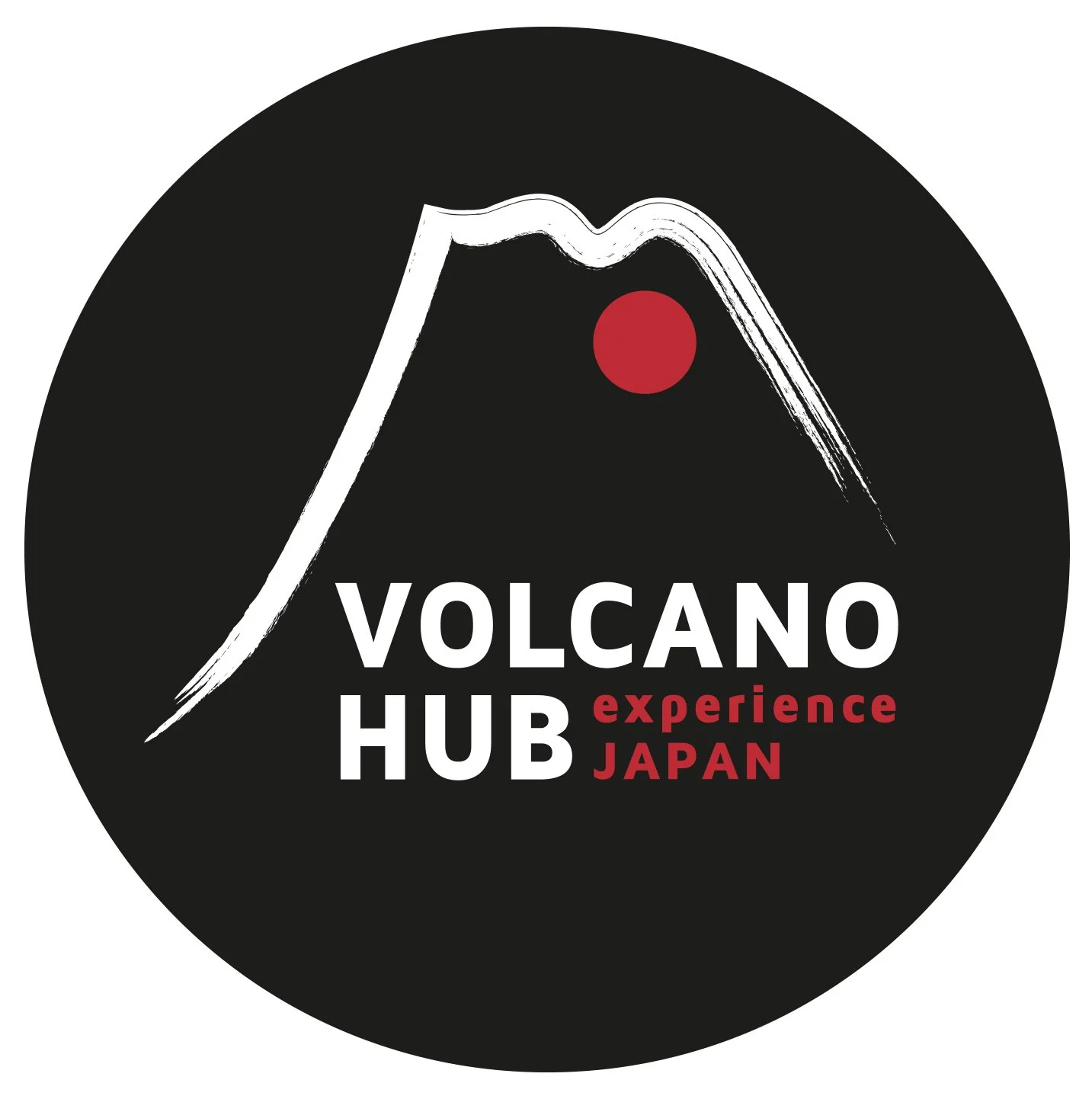 VolcanoHub_300big_cerchionero.jpg