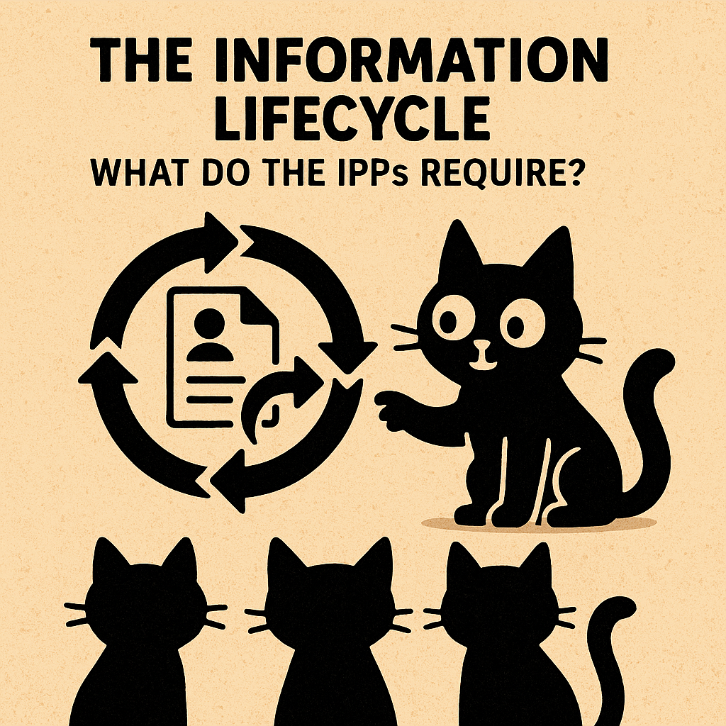 The Information Lifecyle - What do the IPPs require?