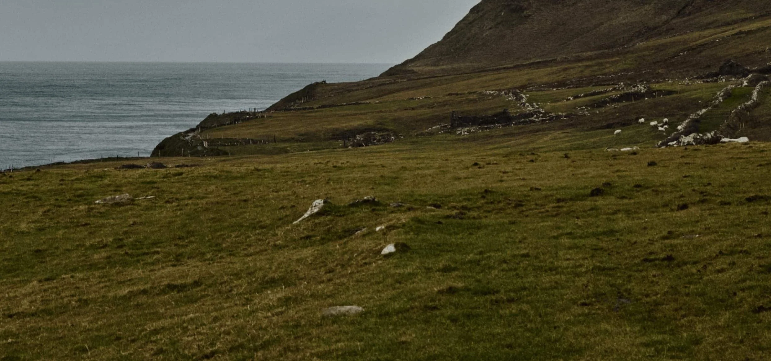 photo de paysage de collines verdoyantes