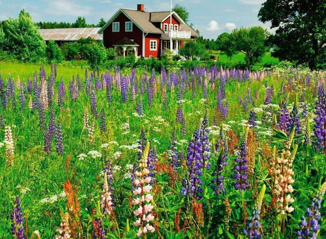 Farm in Sweden