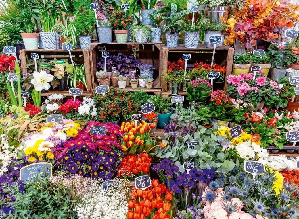 Flower Market, France