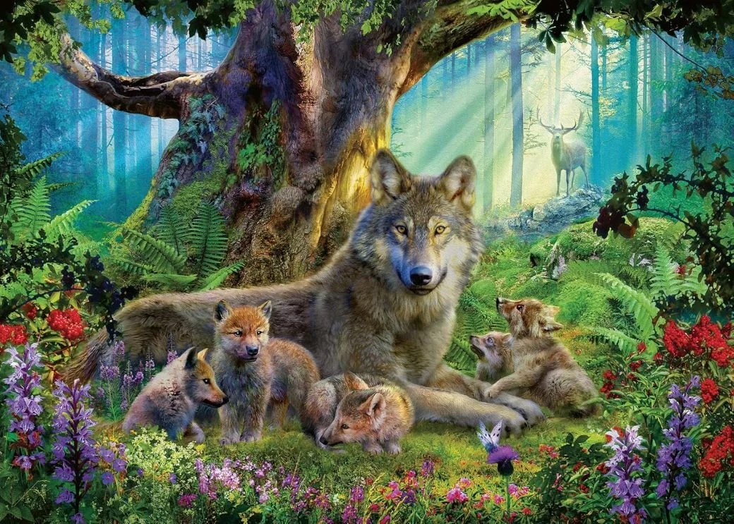 Wolves in the Forest