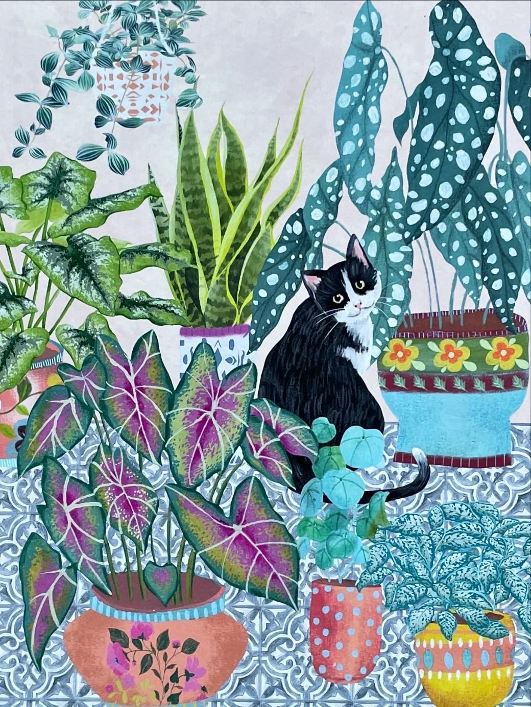 Cat & Plants
