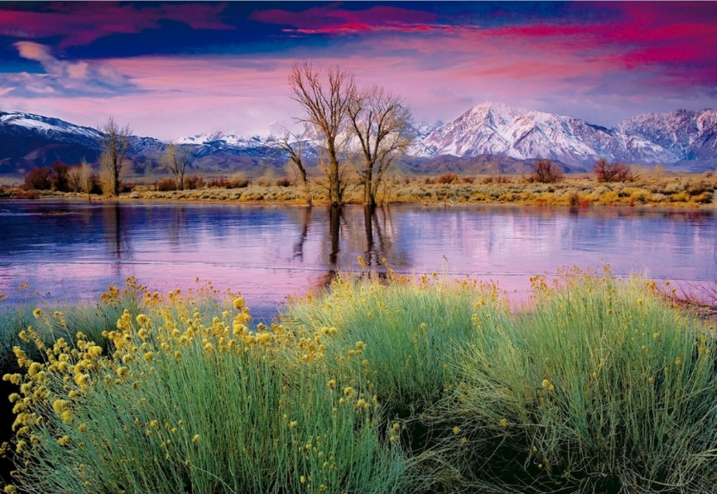 The End of the Summer