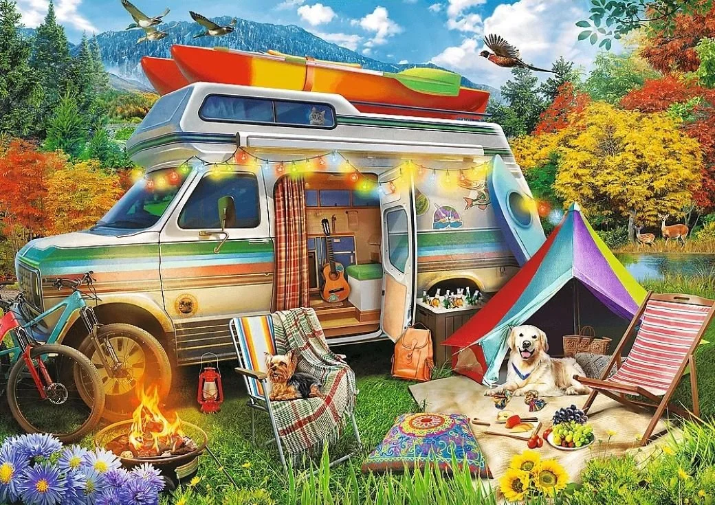 Camping Van