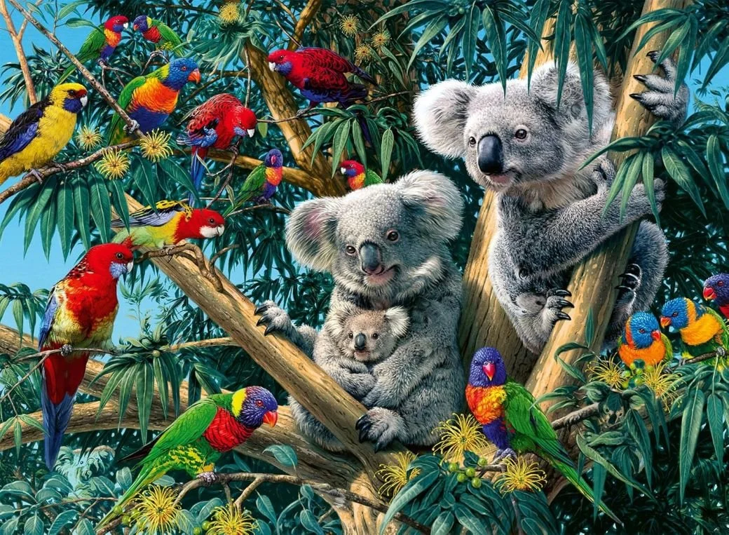 Koalas in a Tree