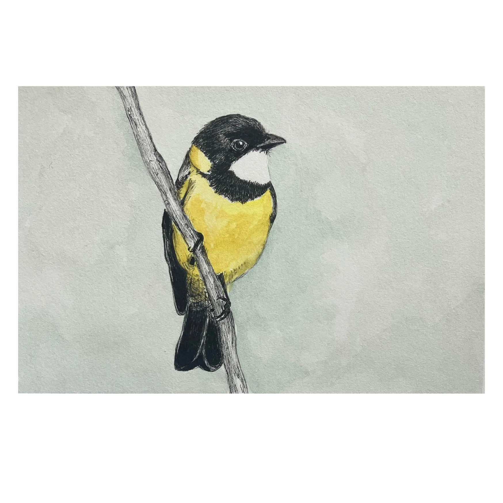 February / SERAPHINA LEAHY