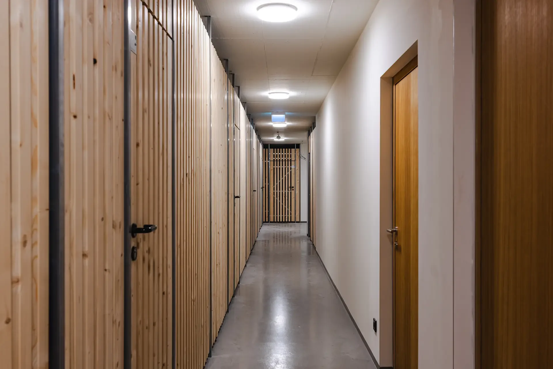 2025-10-08 Trimana Guldenäcker 44 - 21.webp