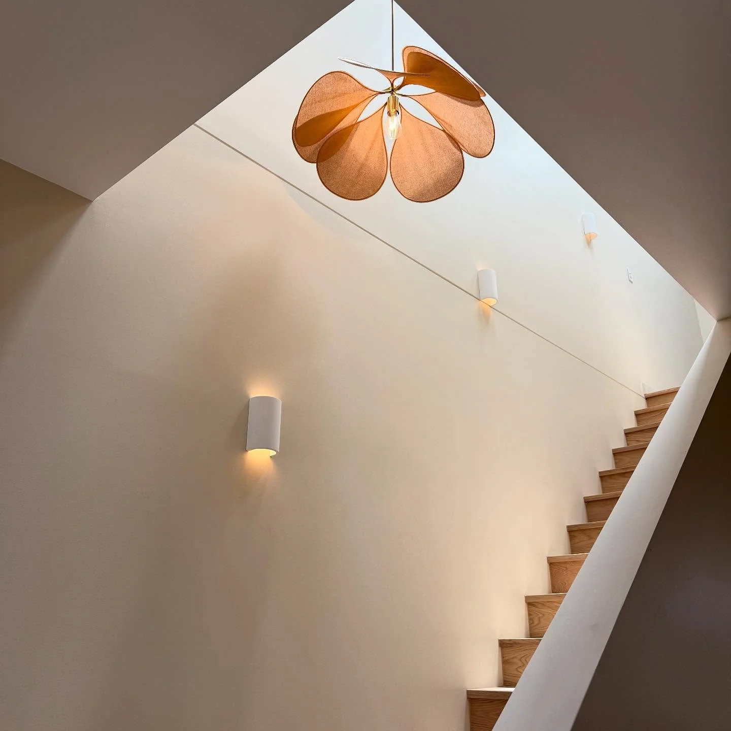 The HTC team are wrapping up 2024 and adding their final touches to the Little Bay Project. Here&rsquo;s a little sneak peek inside.