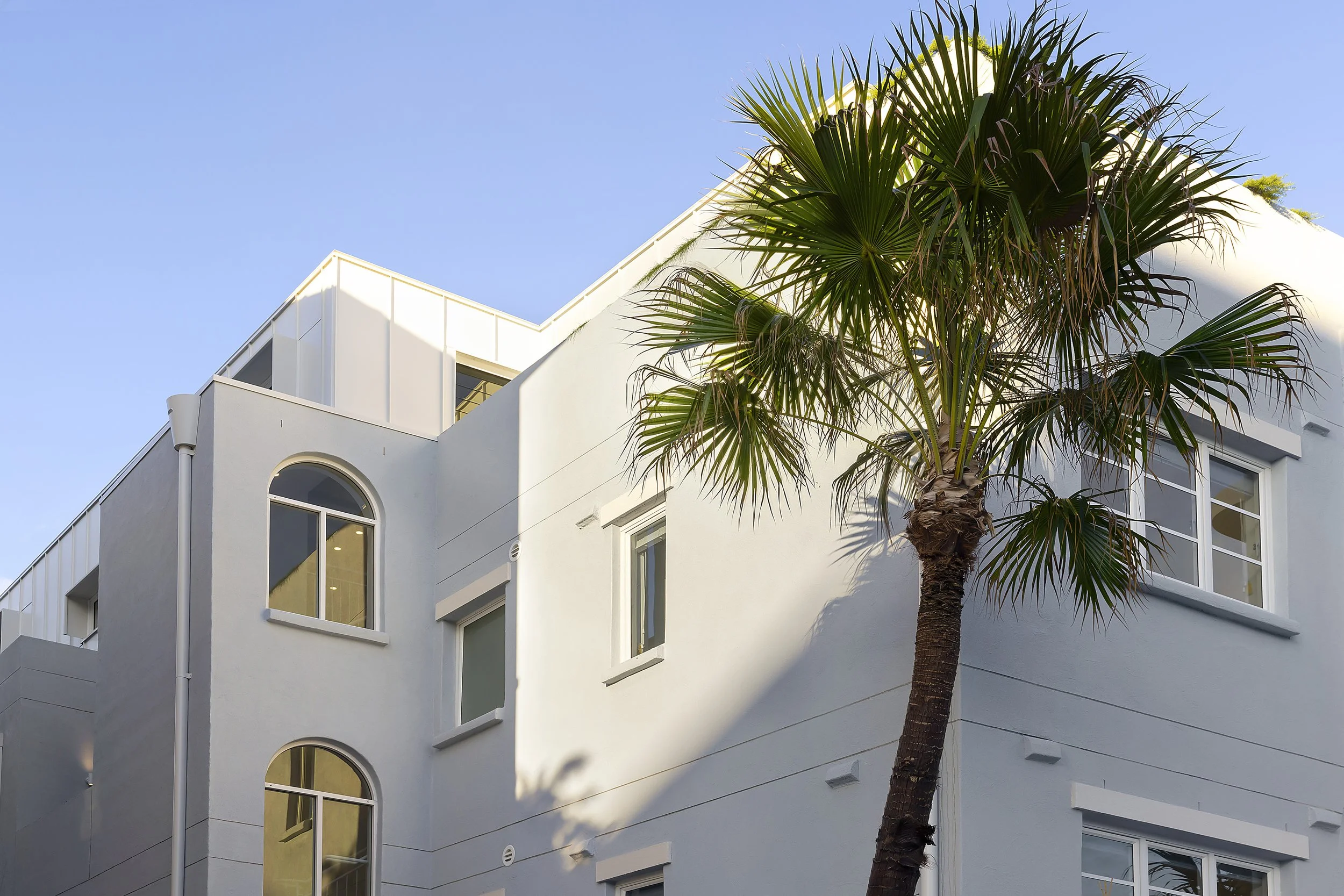 A modern white building with arched and rectangular windows, a palm tree in the foreground, and a clear blue sky.