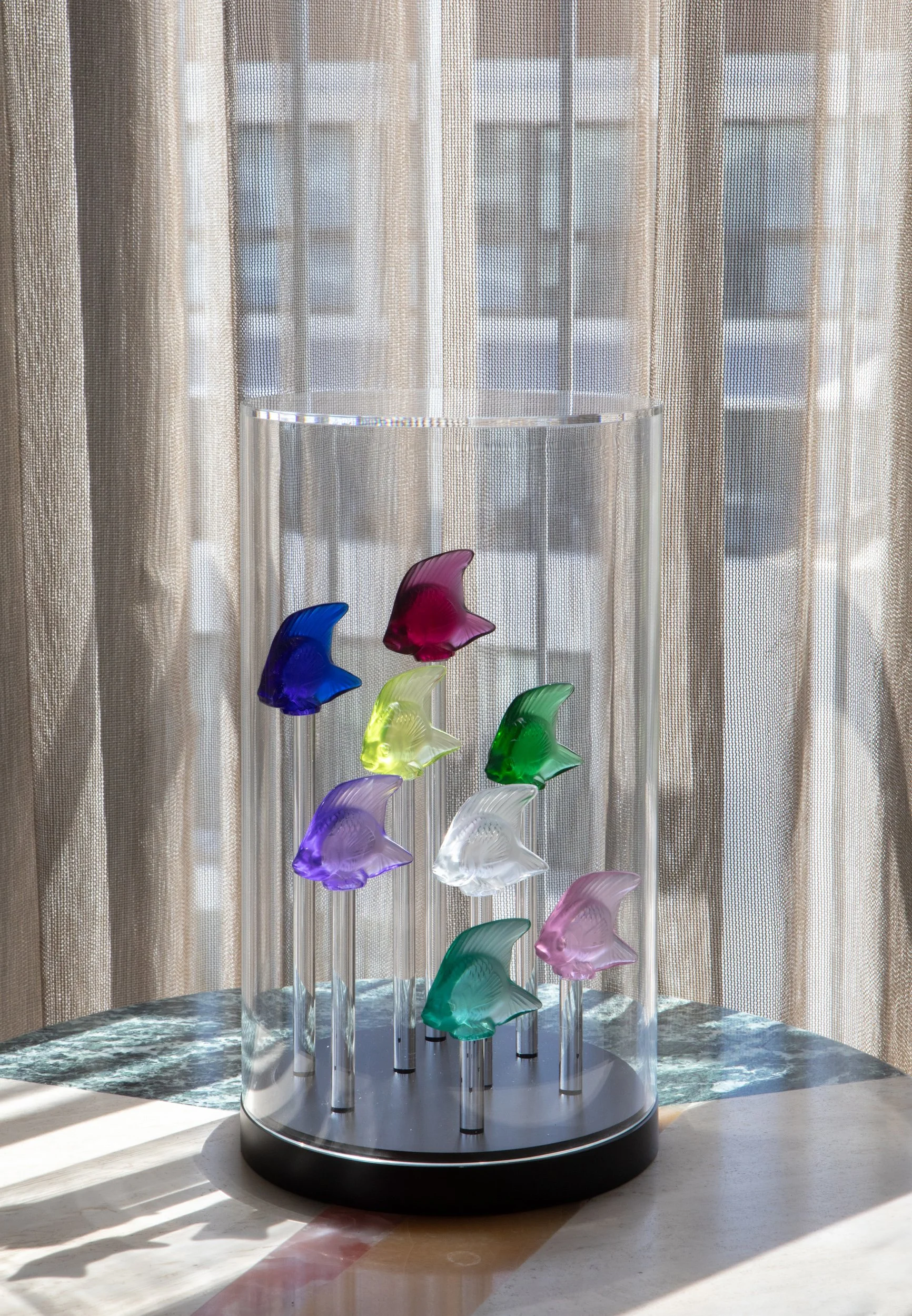 33--photo by Ori Ackerman ©.JPG