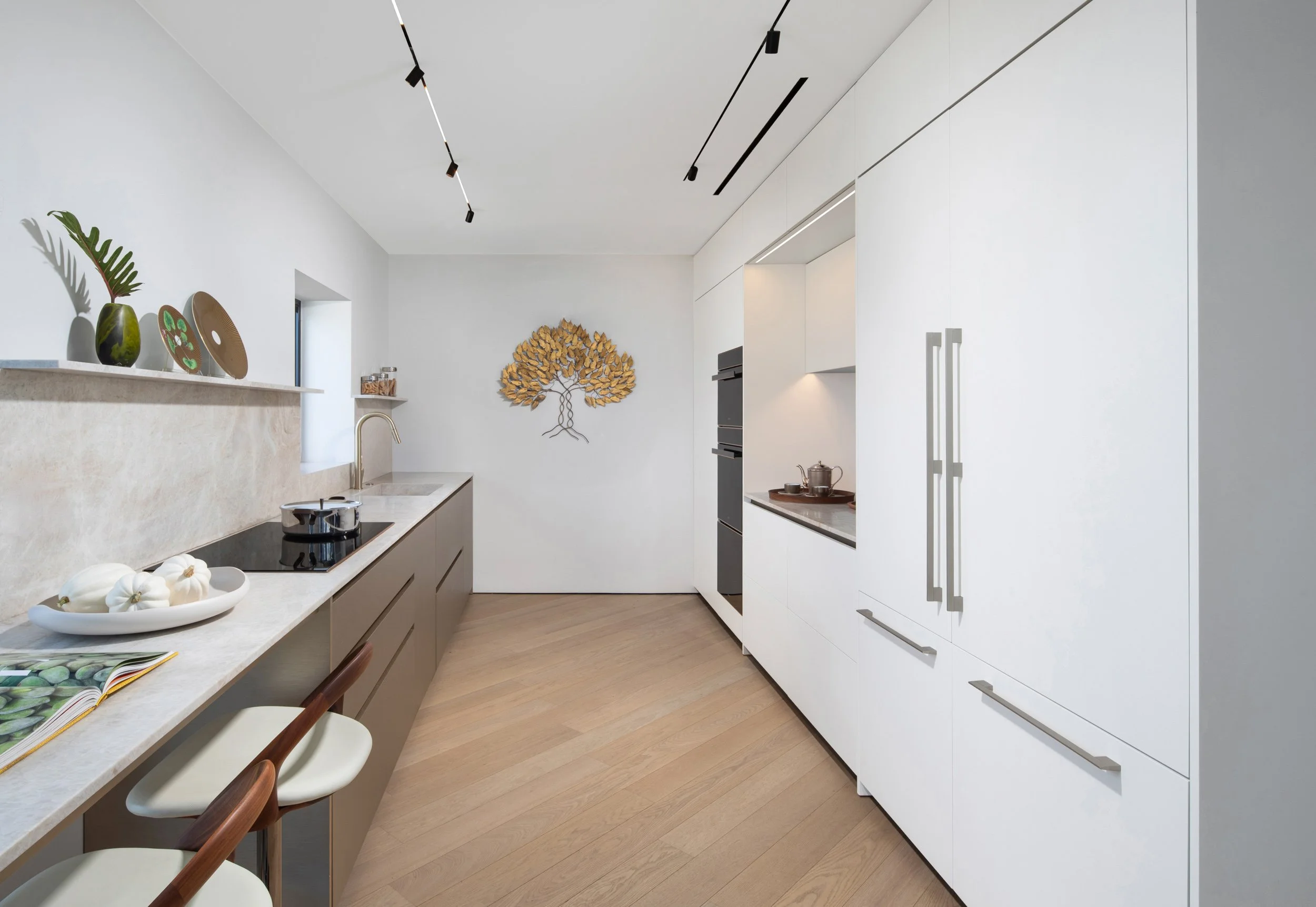 11--2-photo by Ori Ackerman ©.JPG