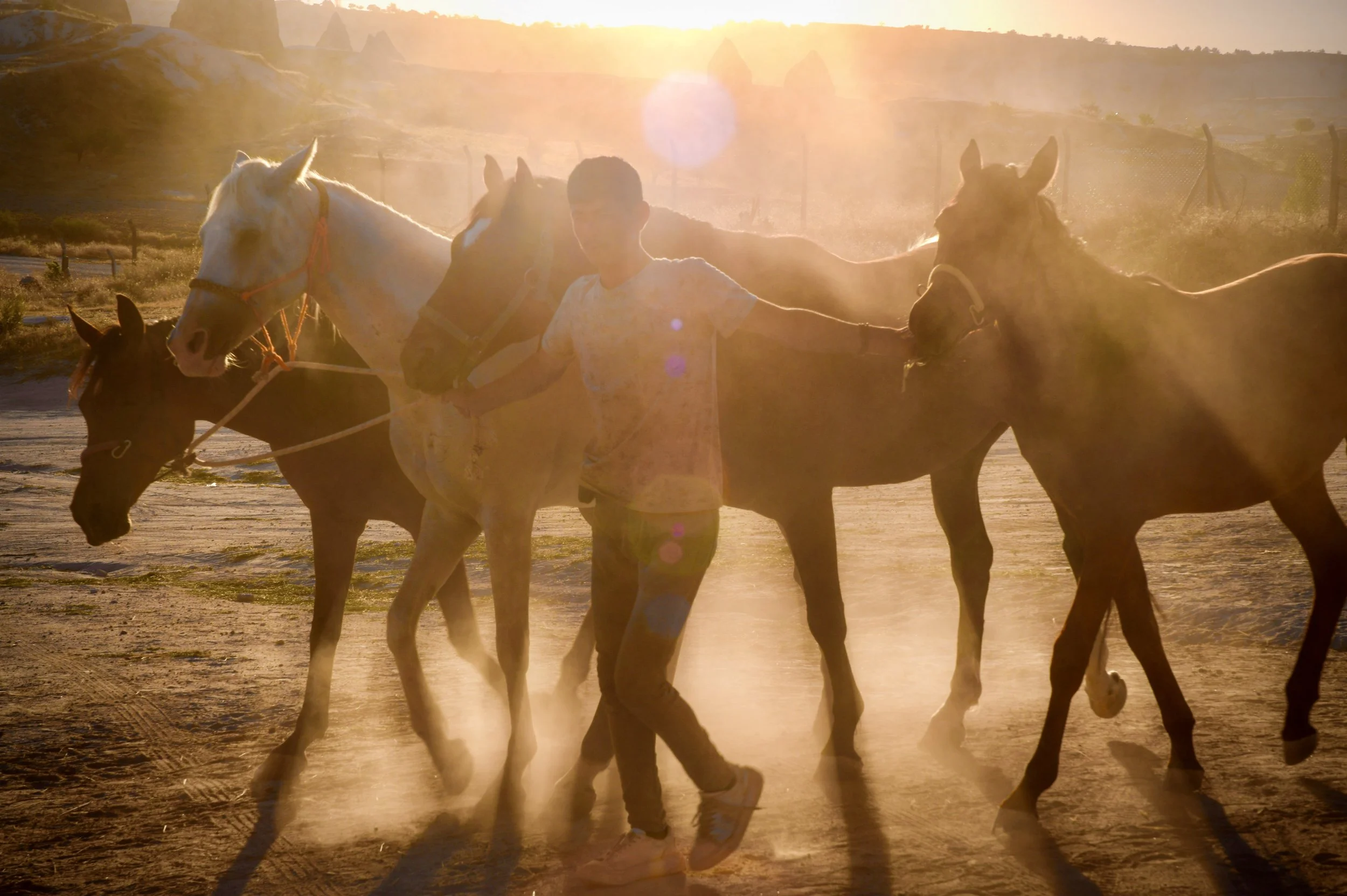 ‘Dust and Hooves’ Photography by Bohan Song