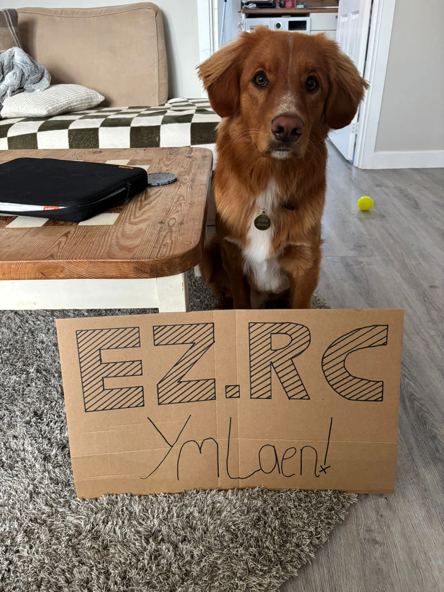 WhatsApp Image 2025-10-05 at 08.28.29.jpeg