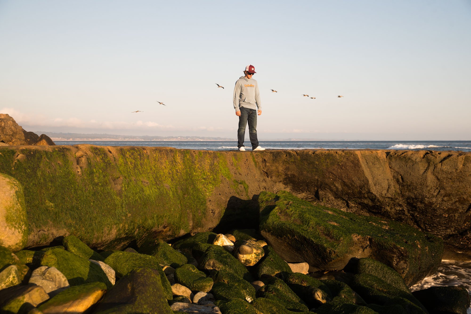 A person standing on a moss-covered rocky ledge near the ocean, with a clear sky and seagulls flying overhead.