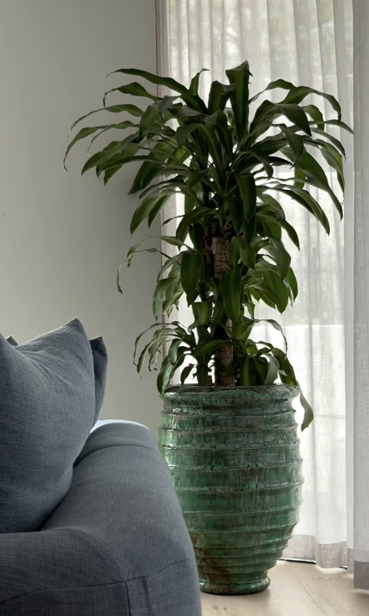 Project Ozone_Cronulla_GazyandBray_Home Interior Styling_2.png