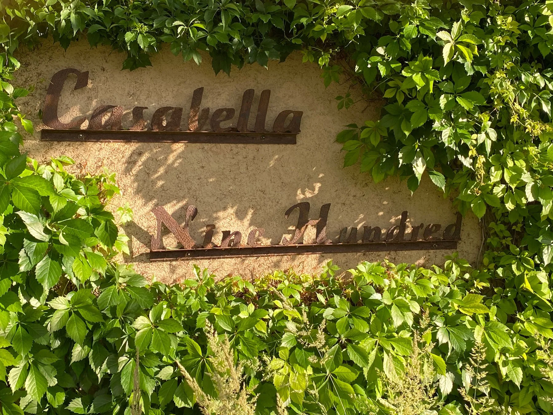 Weathered metal sign reading "Casabella Nine Hundred" surrounded by lush green leaves and foliage at the entrance to Casabella..