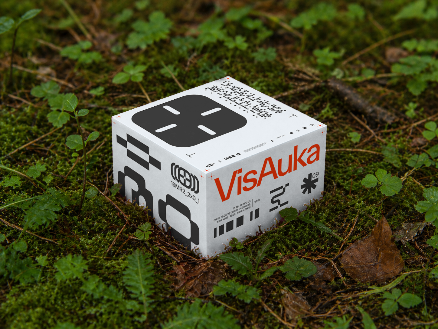 ForestCube.png