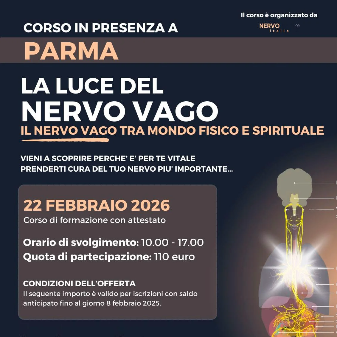 LA LUCE DEL NERVO VAGO TRA MONDO FISICO E SPIRITUALE