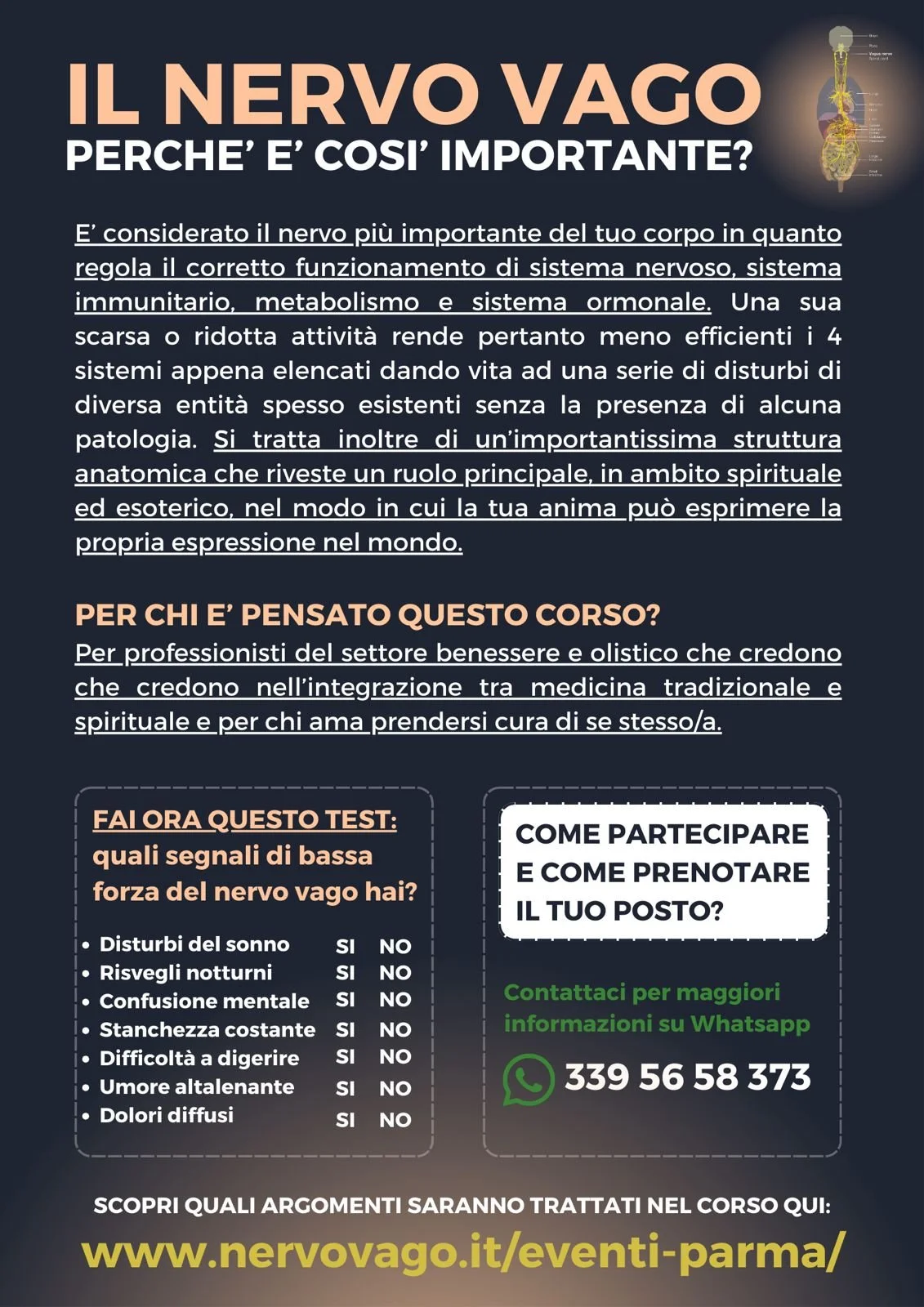 Corso sul nervo vago per il benessere