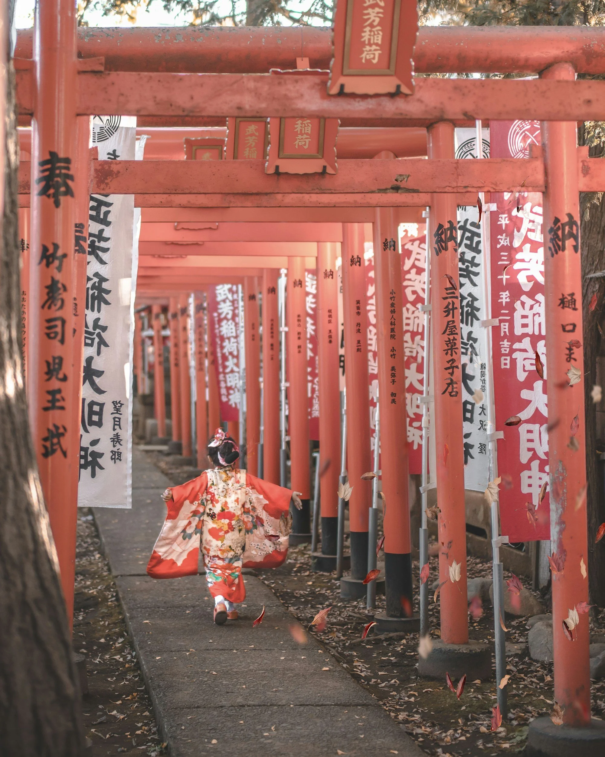 Une jeune fille en kimono traditionnel marche sous une rangée de portiques rouges appelés torii, décorés de papiers et de fleurs, en laissant tomber des feuilles mortes au sol, dans un temple shintoïste au Japon.