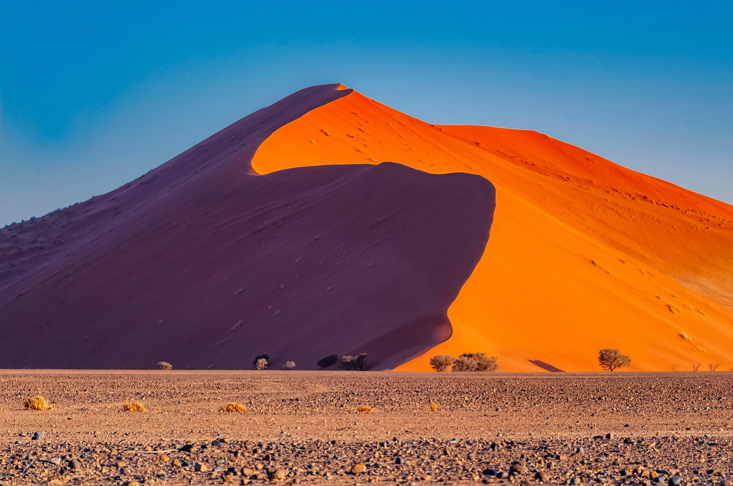 Une grande dune de sable orange dans un désert, avec quelques arbres dispersés au sol et un ciel clair bleu.