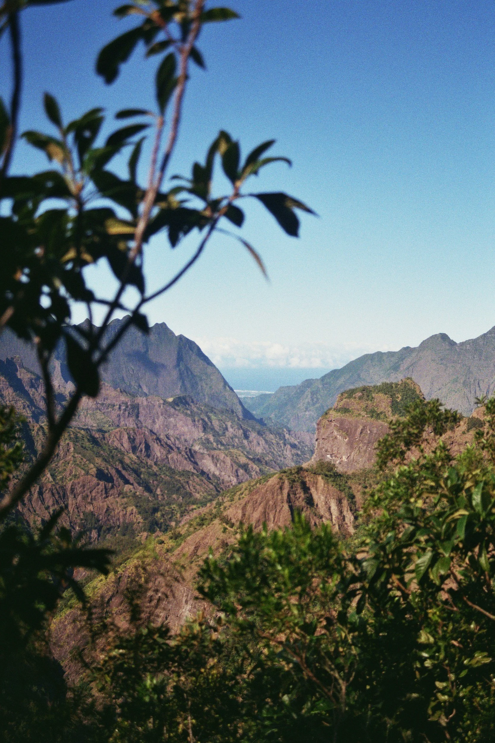 Vue de montagnes rocheuses sous un ciel bleu, avec des feuilles en premier plan.