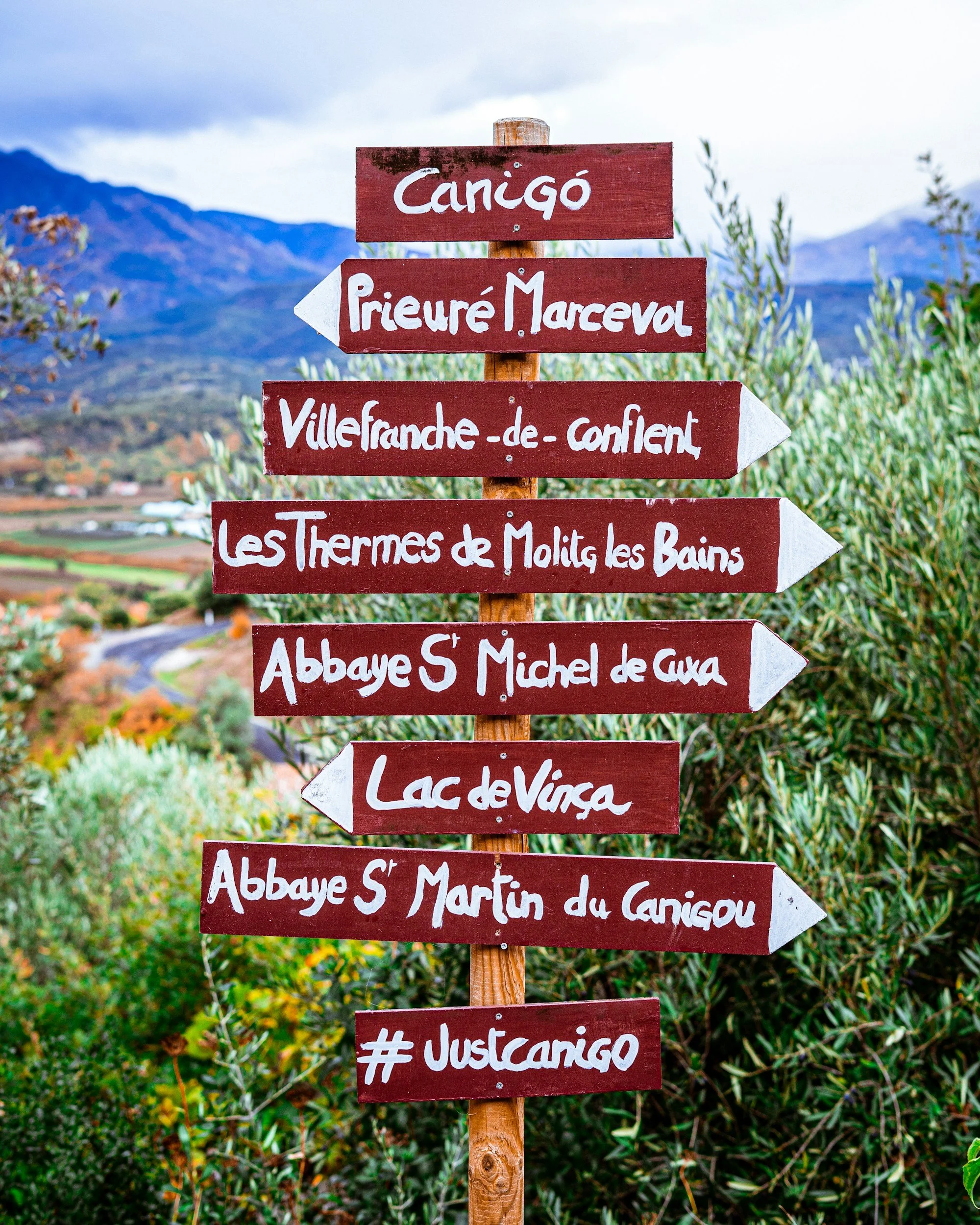 Panneau de signalisation en bois avec des flèches pointant vers différents sites en français, dans un paysage rural avec montagnes en arrière-plan.